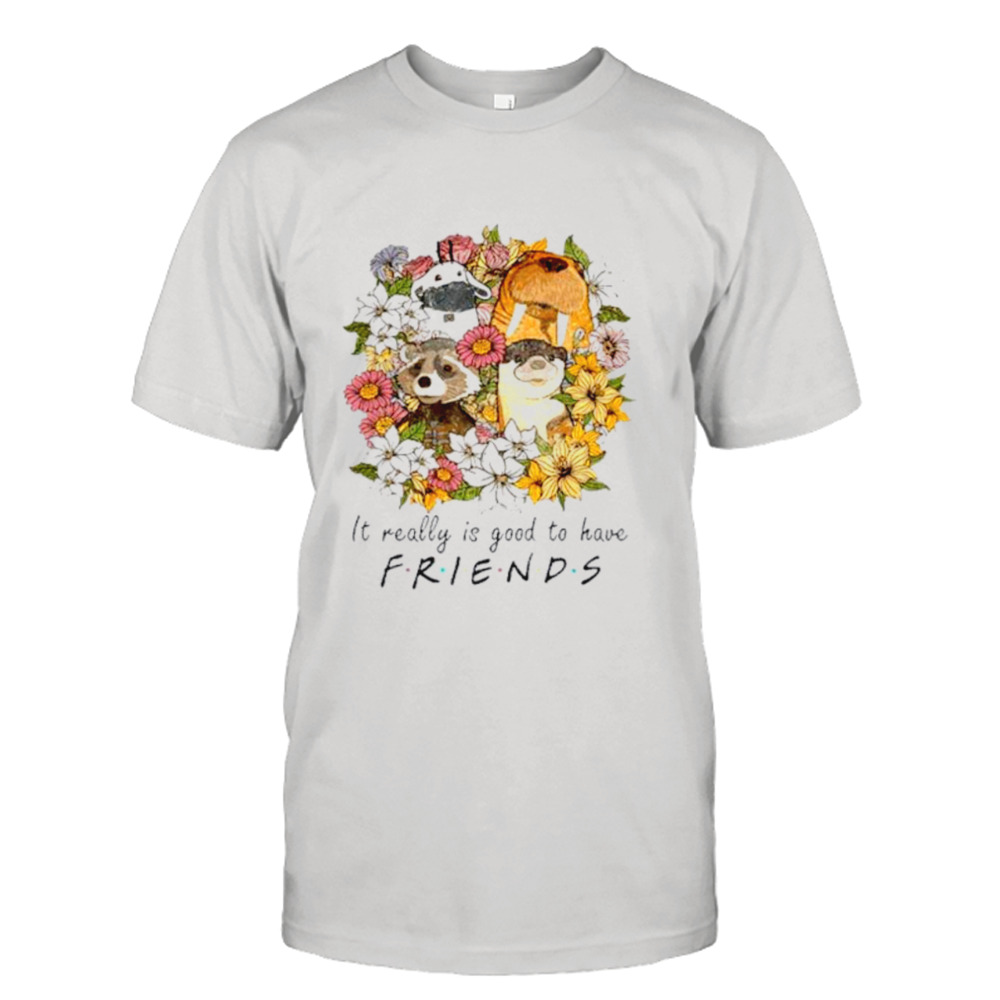 Floral rocket racoon it really is good to have friends shirt